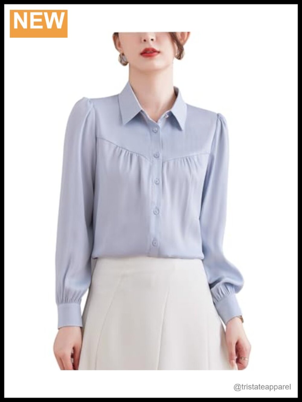 Womens Business Casual Chiffon Button Down Shirt Long Sleeve Office Blouse